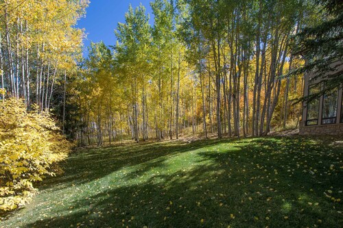 Newly Renovated/Redecorated 5 BR/5 BA Heart of Snowmass Village -Easy Ski Access