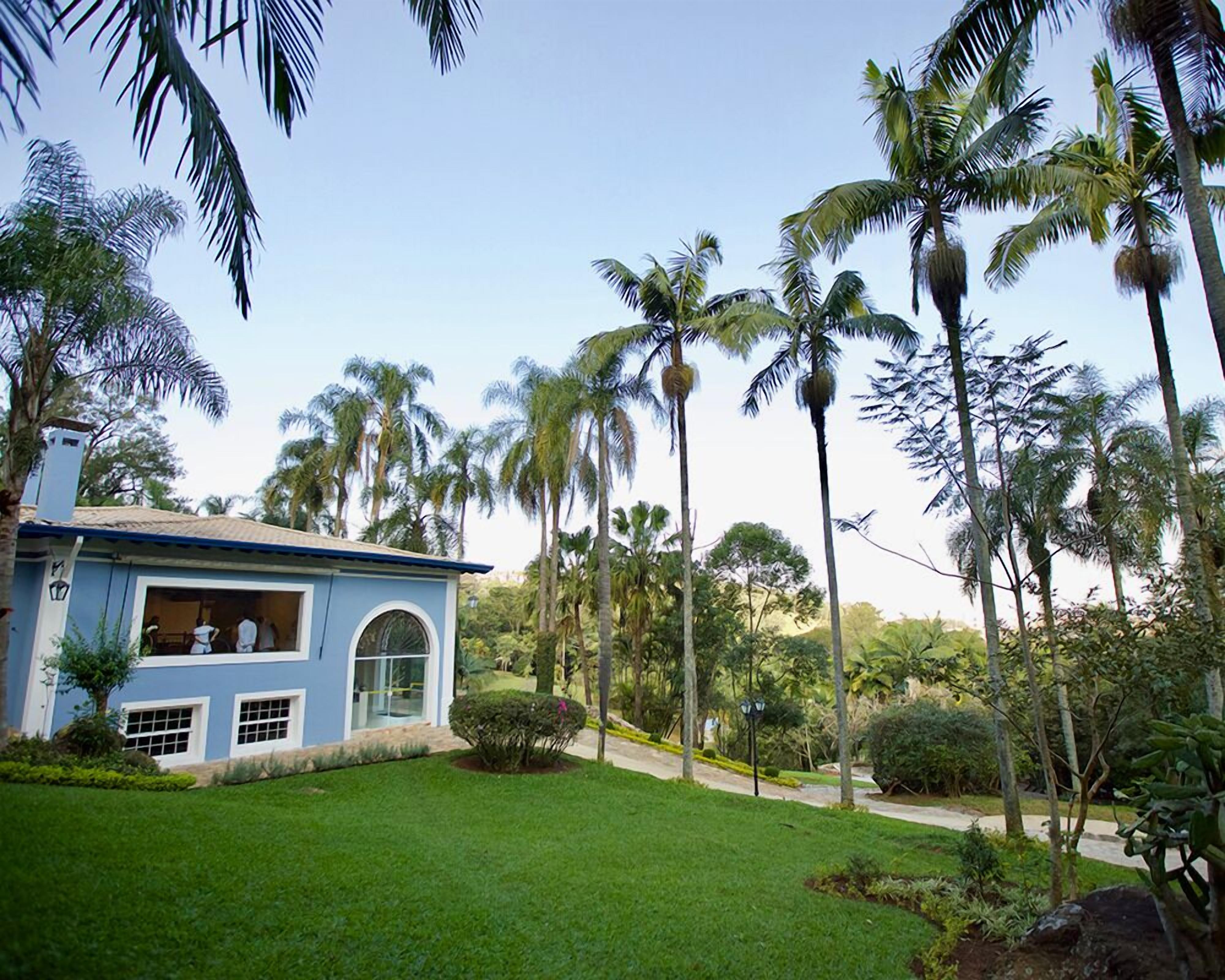 A blue house with a balcony, surrounded by a well-maintained lawn and tall palm trees.
