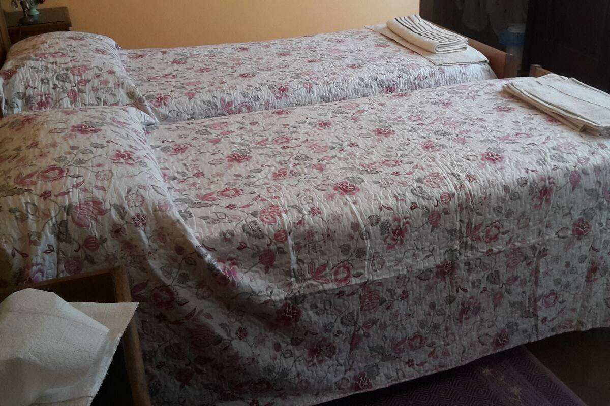 Habitación con 2 camas individuales, accesible para personas con discapacidad | Espacio para trabajar con un portátil, wifi gratis, ropa de cama