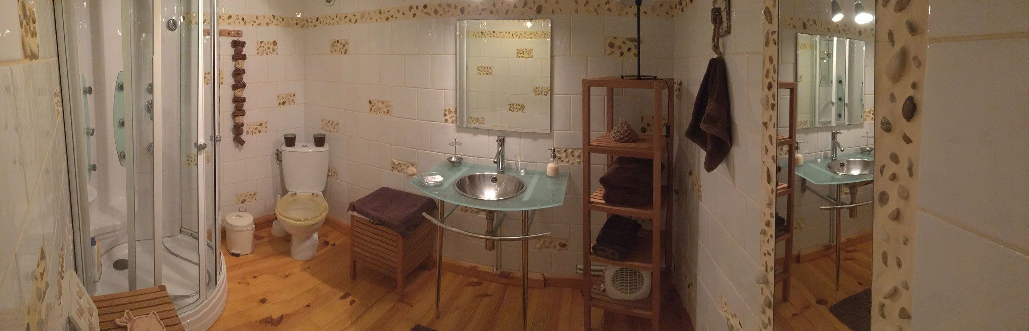 Baño con ducha, inodoro, lavabo y espejo.
