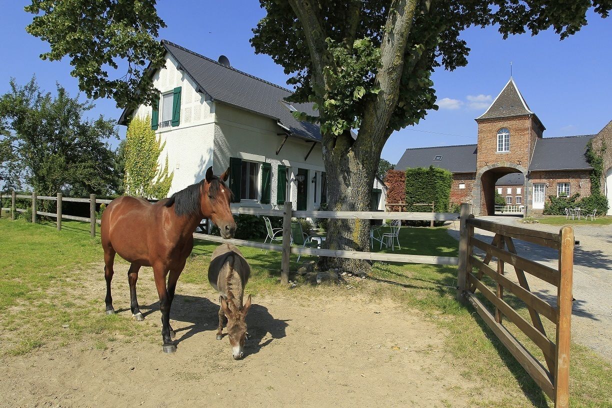 Un establo con dos caballos, un edificio blanco con contraventanas verdes y una construcción de ladrillo con torre.