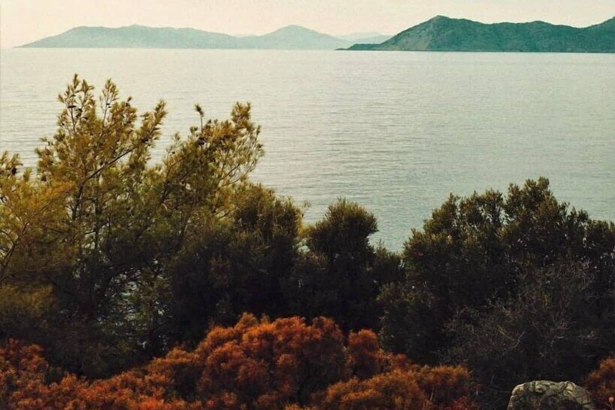 Honeymoon Tree House, Balcony, Sea View | View from room