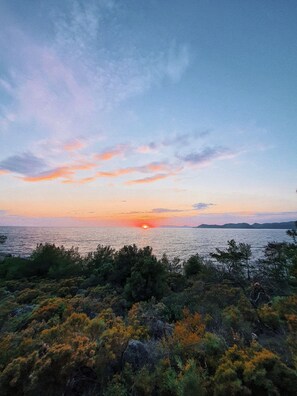 Een kustlandschap met een zonsondergang boven de zee, omgeven door dichte begroeiing.