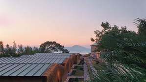 A row of rustic cabins with thatched roofs, arranged along a stone pathway with palm trees and a view of distant mountains. - Rocas Roja Beach Hotel (Fethiye)