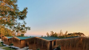 A row of wooden cabins with thatched roofs, arranged in a linear fashion along a stone pathway. - Rocas Roja Beach Hotel (Fethiye)