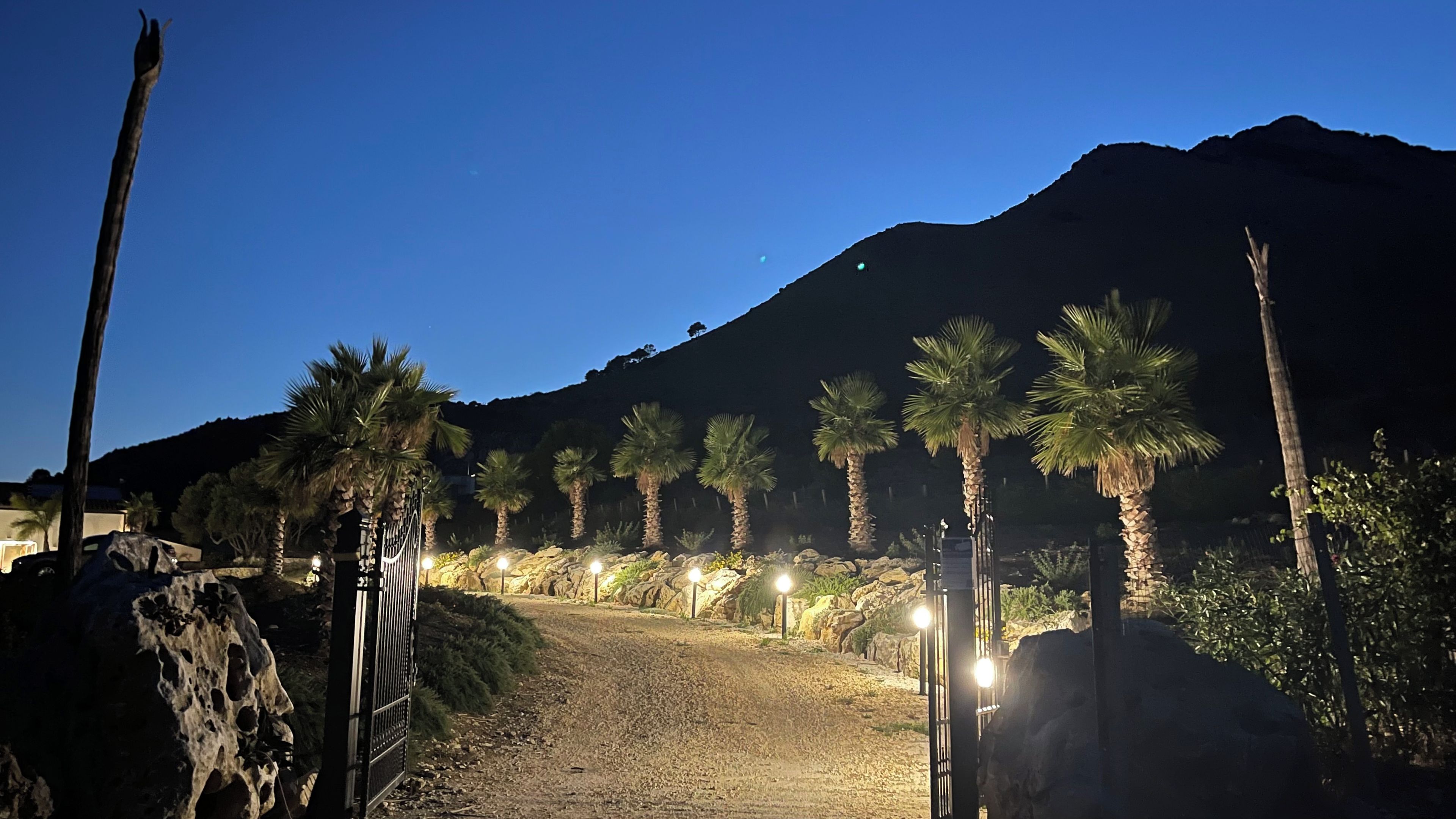 Un vialetto lastricato conduce a un cancello, sullo sfondo palme e una montagna.