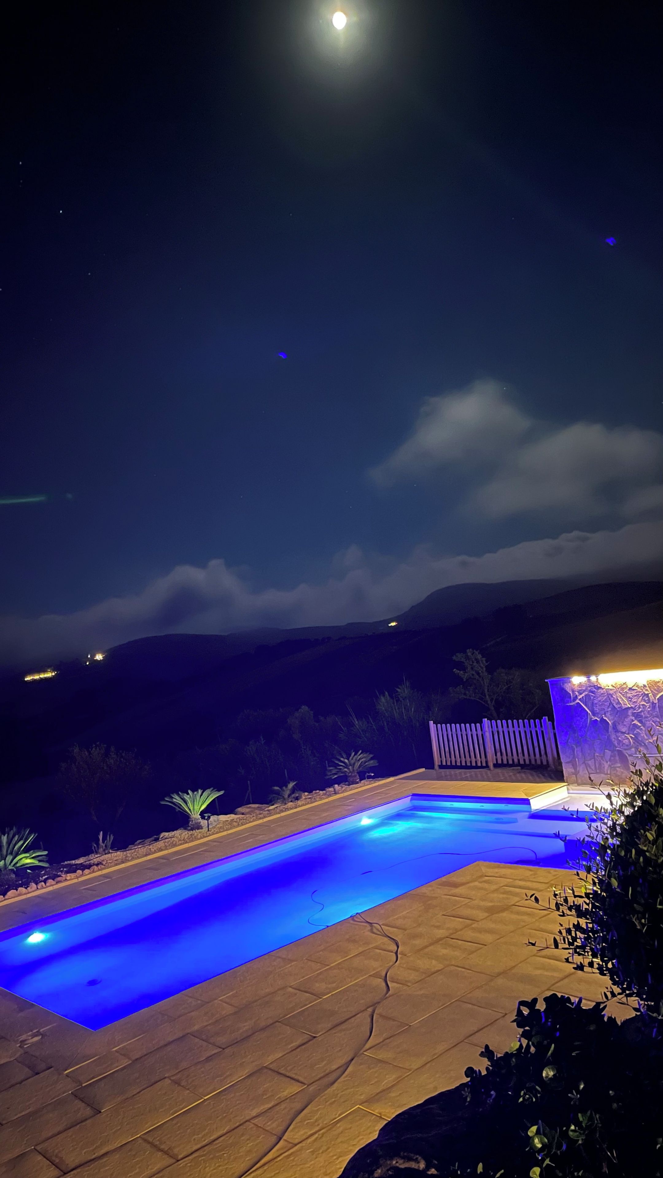 A swimming pool with blue lighting, surrounded by a landscaped area with plants and a wooden fence.