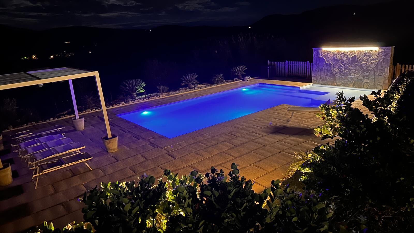 A swimming pool with a stone deck, surrounded by plants and a pergola.