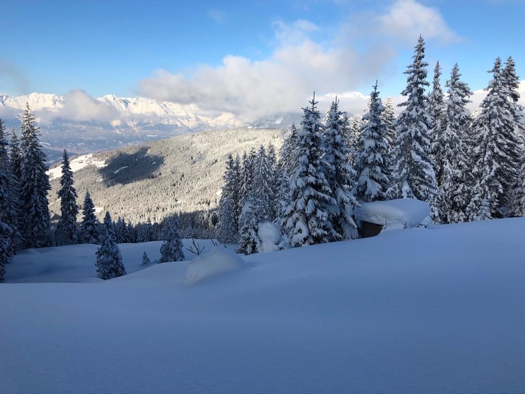 Foto - Hotel Wiesenhof