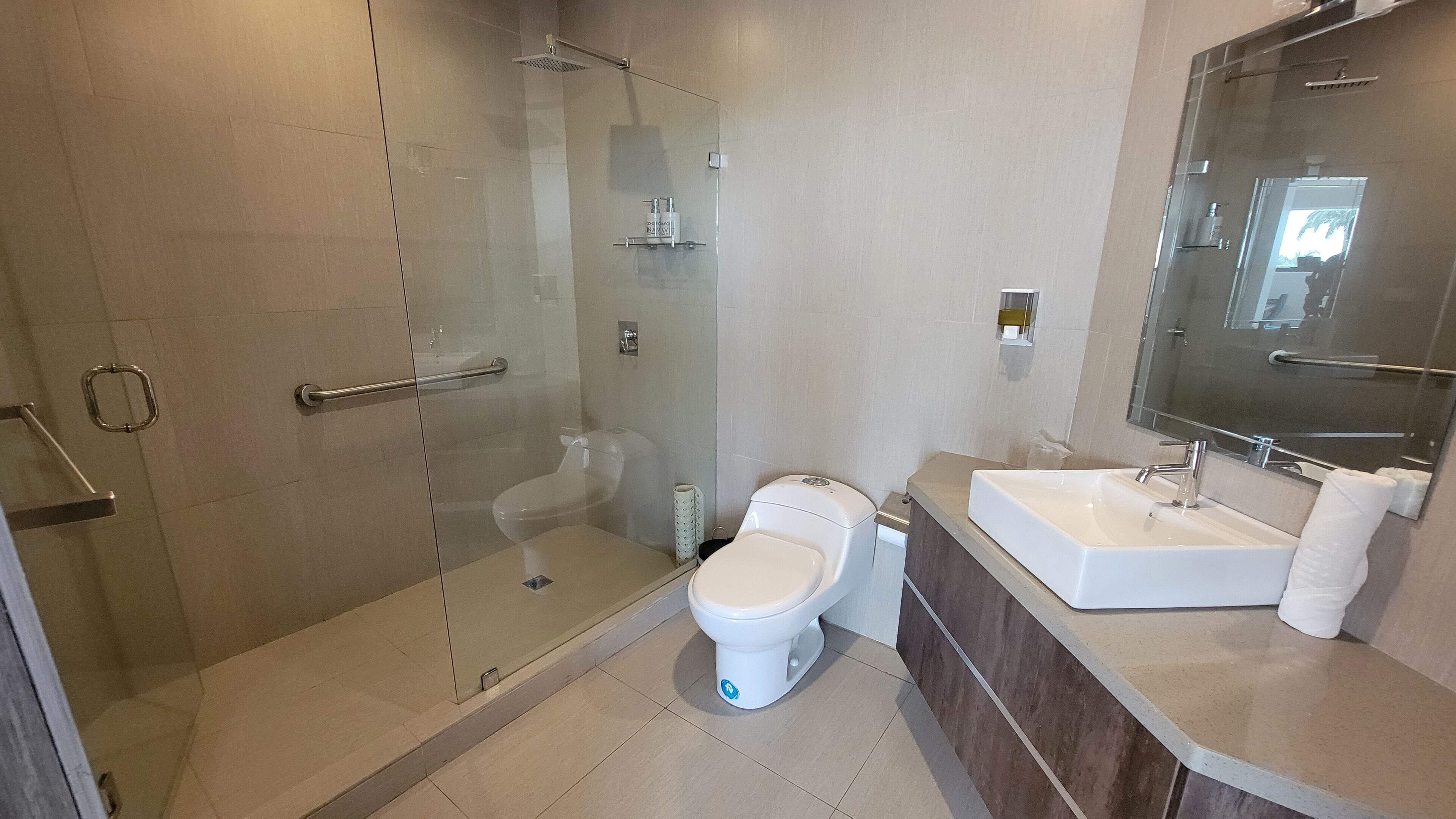 A modern bathroom with a glass-enclosed shower, a white toilet, and a large mirror above a sink.