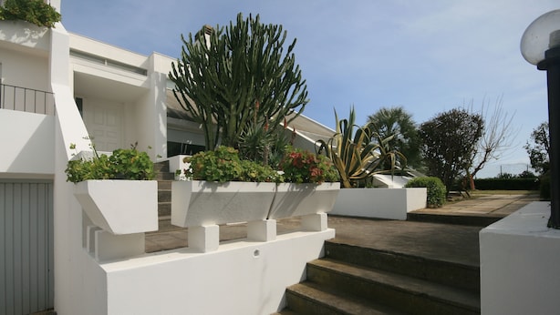 Ein modernes Haus mit weißer Fassade, einer Treppe, die zum Eingang führt, und verschiedenen Pflanzen, darunter ein großer Kaktus.