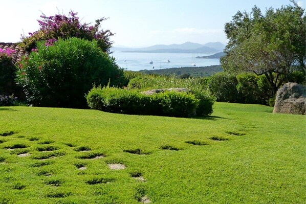 Property grounds - Villa Belvedere (Arzachena)
