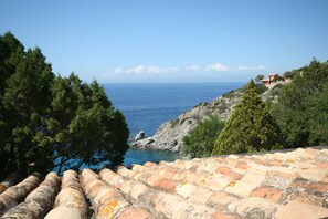 A coastal view with a tiled roof, dense pine trees, and a distant building.