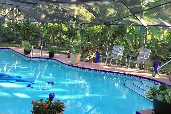 Pool with 60 foot lap lane and rockers
Very tropical