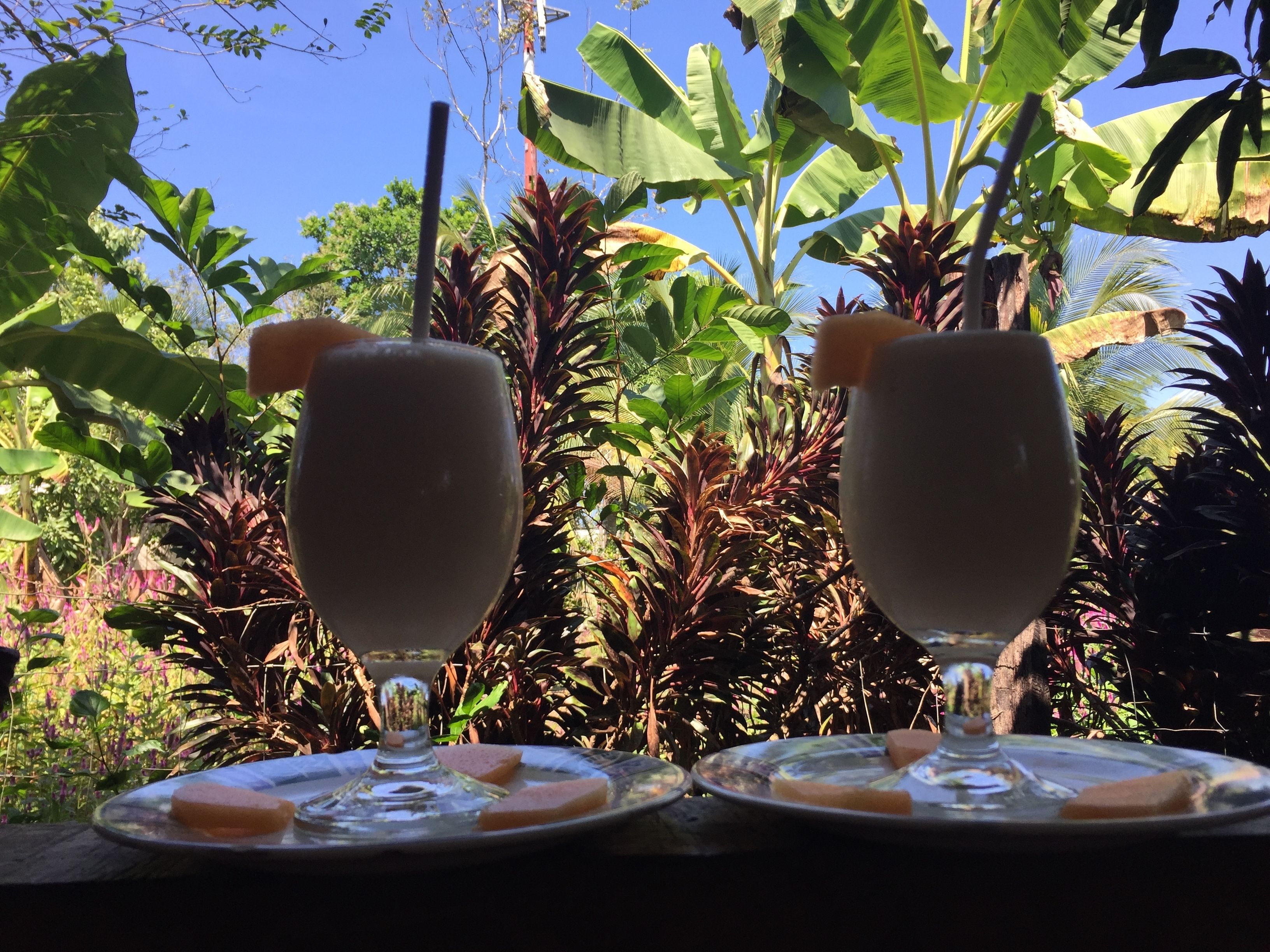 Two glasses of a beverage with fruit slices on a table, set against a backdrop of lush greenery and banana plants.
