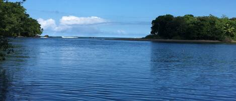 A calm body of water with a clear sky and dense greenery on both sides.