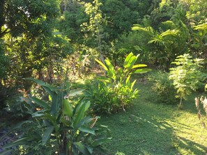 Garden - Valeska Drake (Drake Bay)