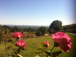 Property grounds - Los Robles de Acebo rural house (Acebo)