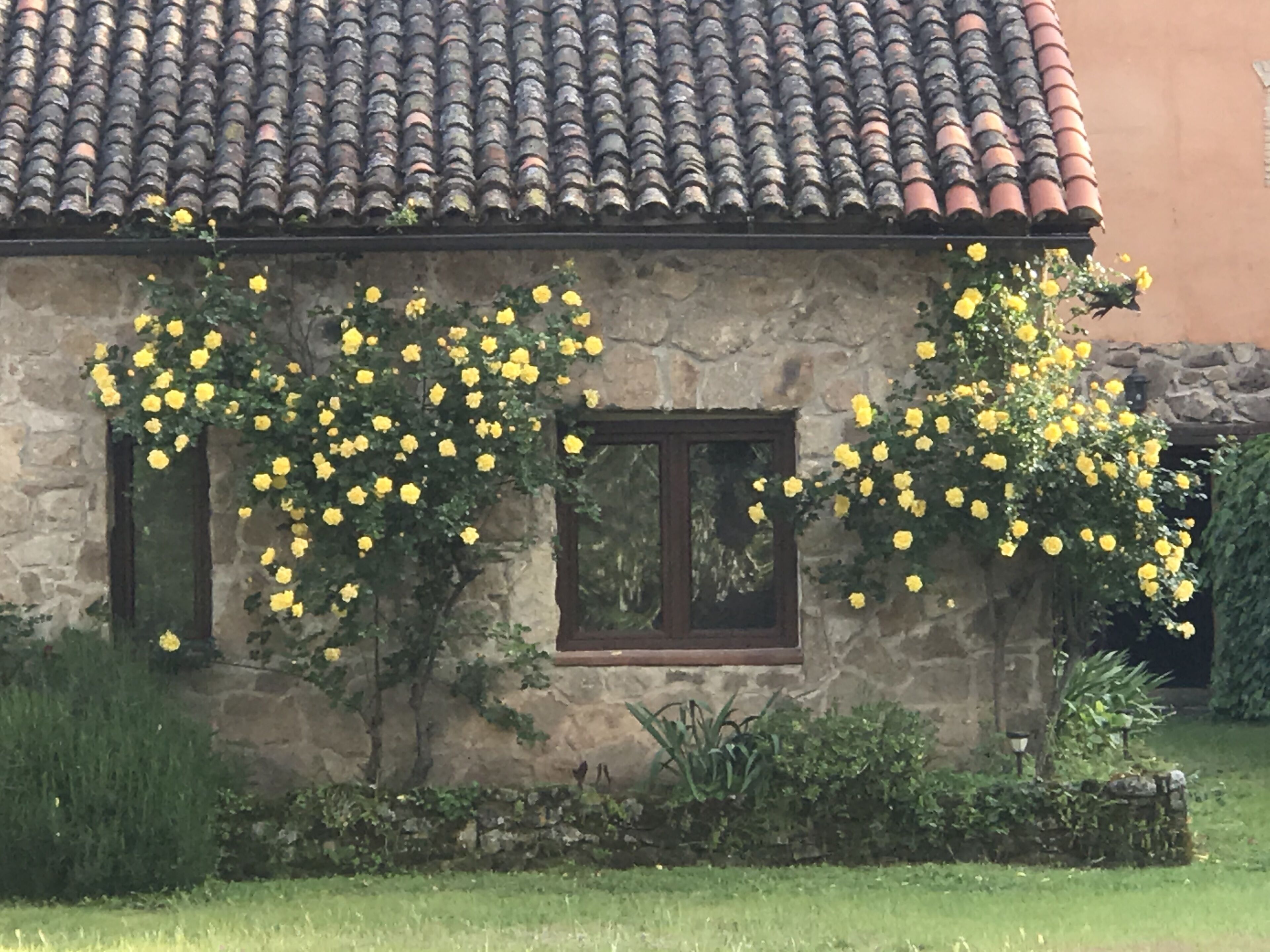 Detalle del exterior