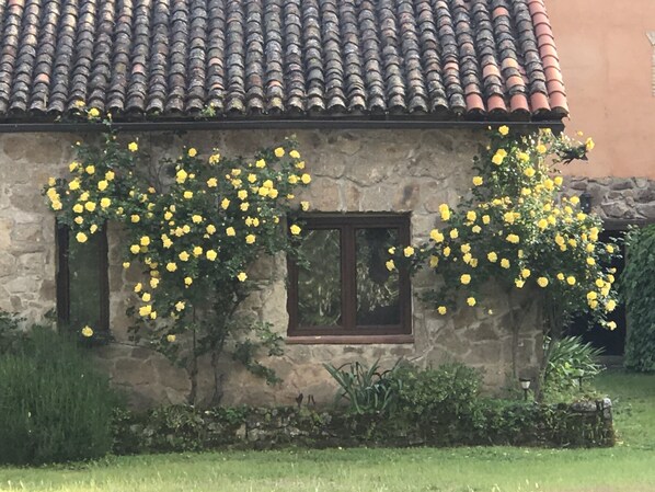 Exterior detail - Los Robles de Acebo rural house (Acebo)