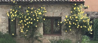 Maison Rurale Los Robles de Acebo