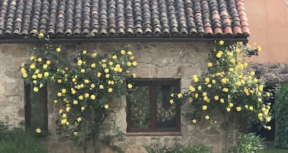 Los Robles de Acebo rural house