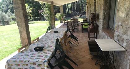 Los Robles de Acebo rural house