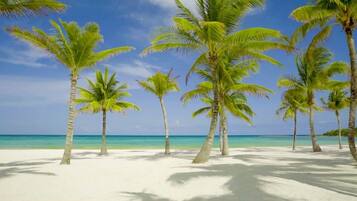 Scuba diving, selancar angin, dan voli pantai