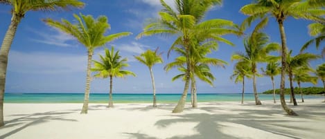 الغوص باستخدام المعدات، ركوب الأمواج باستخدام الألواح الشراعية