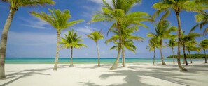 A beach with white sand and palm trees under a clear blue sky. - Barcelo Maya Riviera (Xpu-Ha)