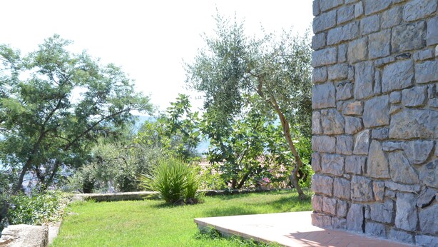 Un muro de piedra y una zona cubierta de césped, con árboles y arbustos.