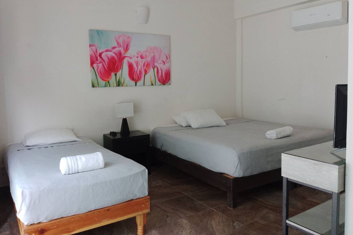 Habitación de hotel con dos camas, una mesita de noche con lámpara, un cuadro de flores rosadas, un televisor y una pequeña mesa.