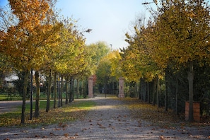 Property grounds - Lodging immersed in the tranquility of the Polesana countryside (Rovigo)