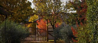 Lodging immersed in the tranquility of the Polesana countryside