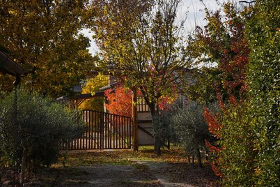 Lodging immersed in the tranquility of the Polesana countryside