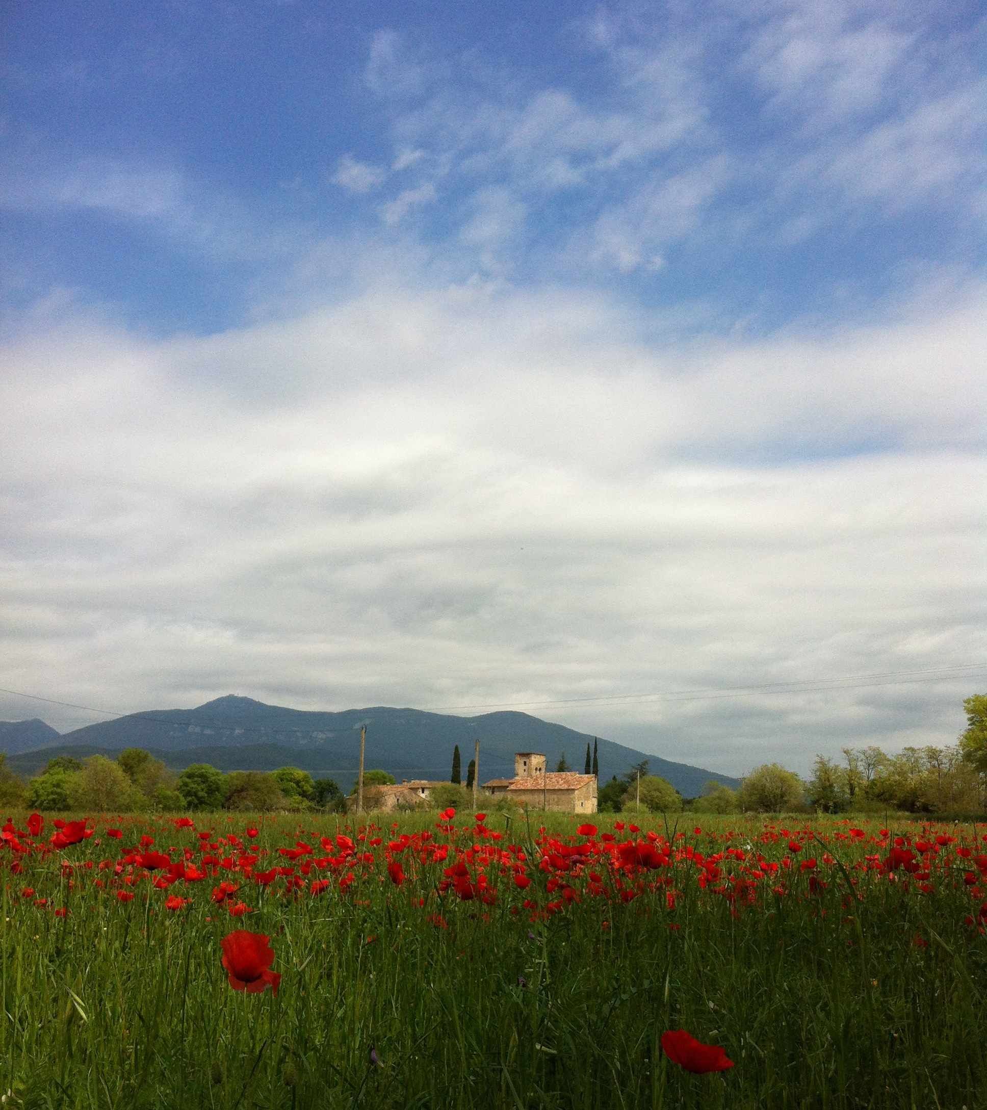 A field of red poppies with a mountain in the background and a building in the distance.