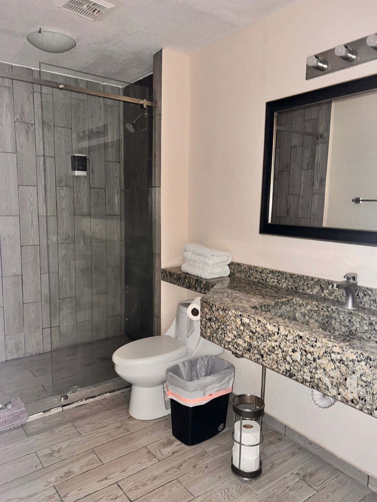 A modern bathroom with a shower, toilet, and granite countertop.
