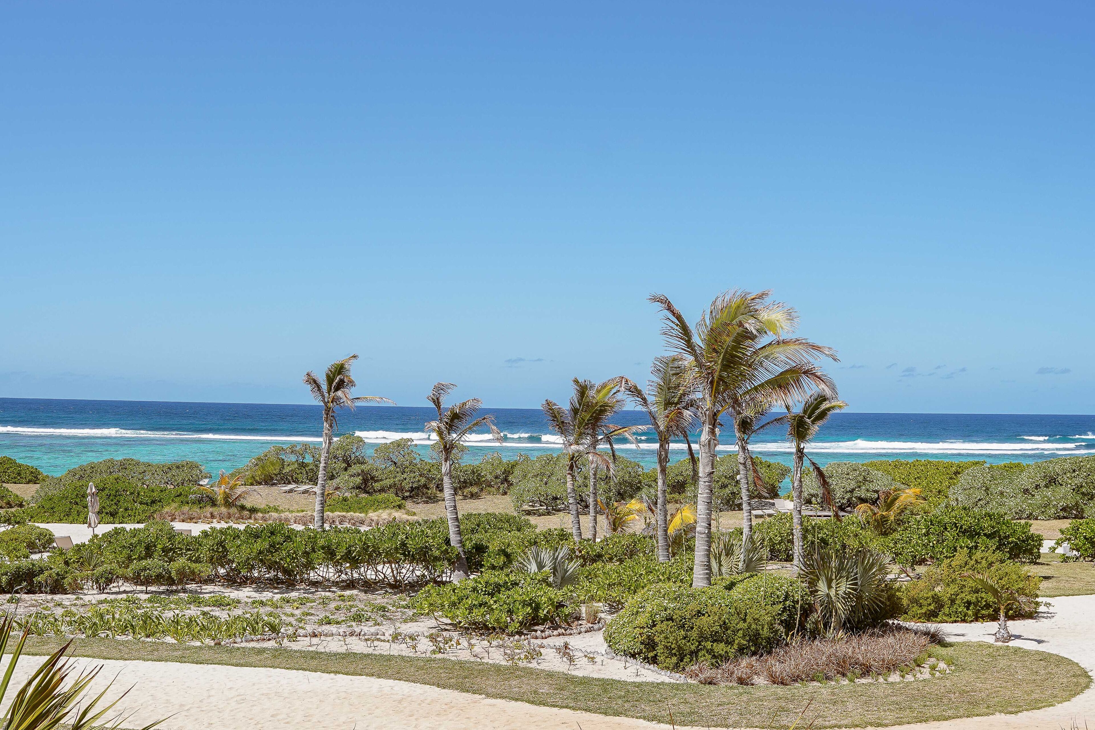 Paisaje de playa tropical con palmeras y vista al océano.