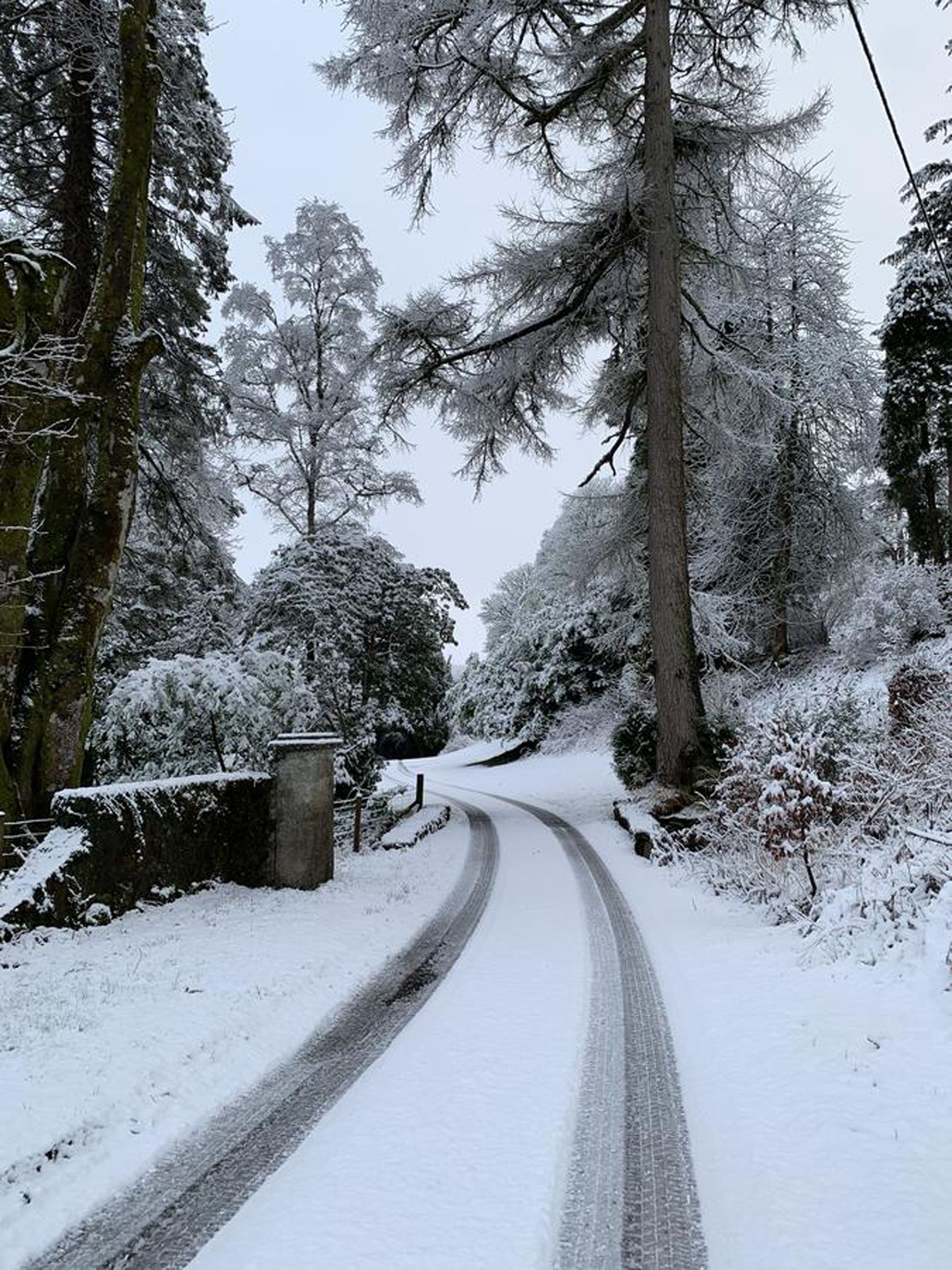 A snow-covered road flanked by trees and a stone wall.