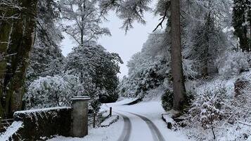 A snow-covered road flanked by trees and a stone wall.