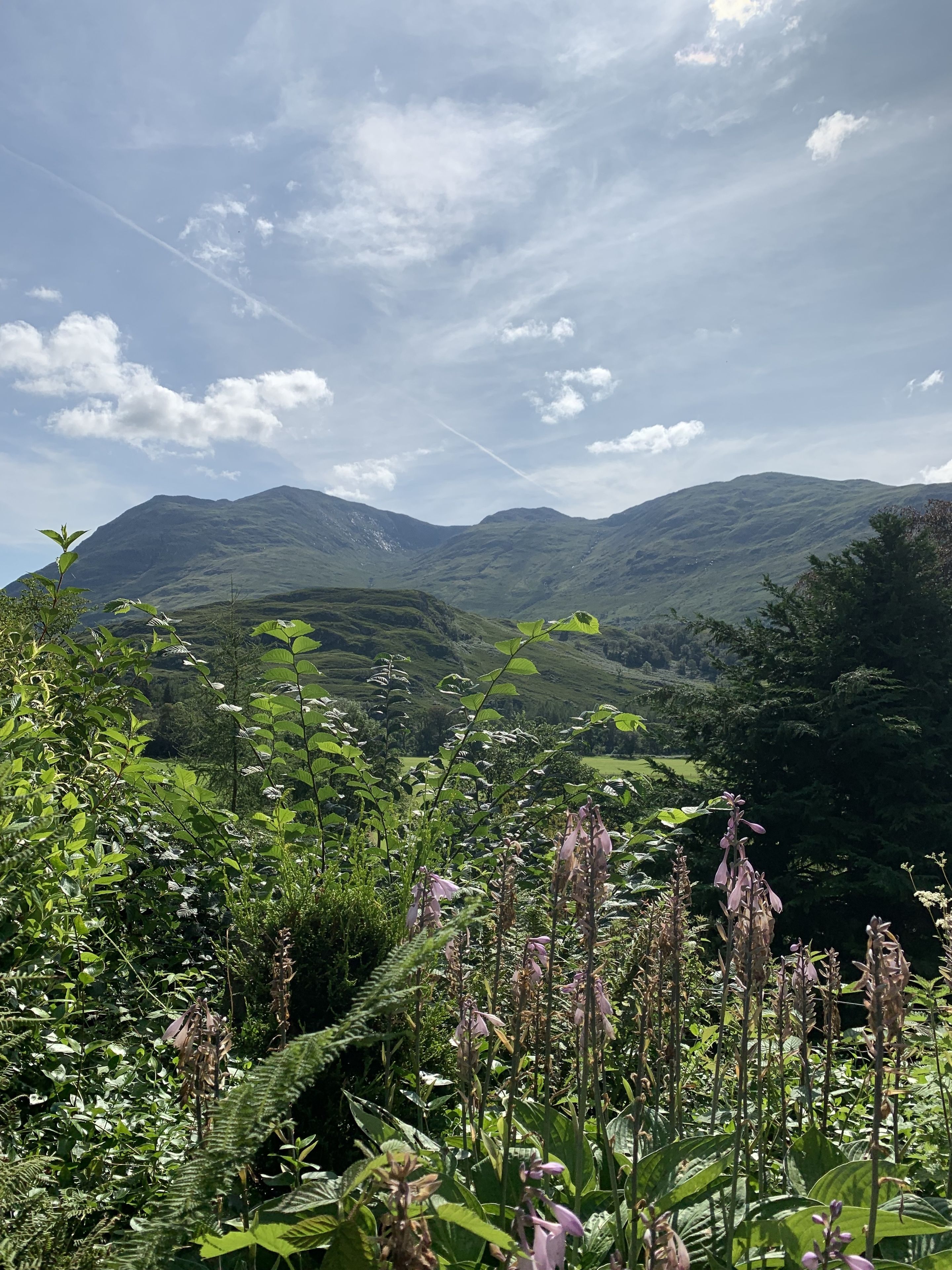 A mountainous landscape with lush greenery and a clear sky.