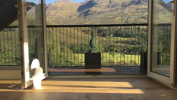 Een 40-inch smart-tv met satellietzenders, televisie en Netflix