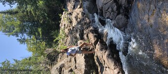 Riverside Cottage near snowmobile and atv trails and Mt. Bohemia with Wi-Fi!