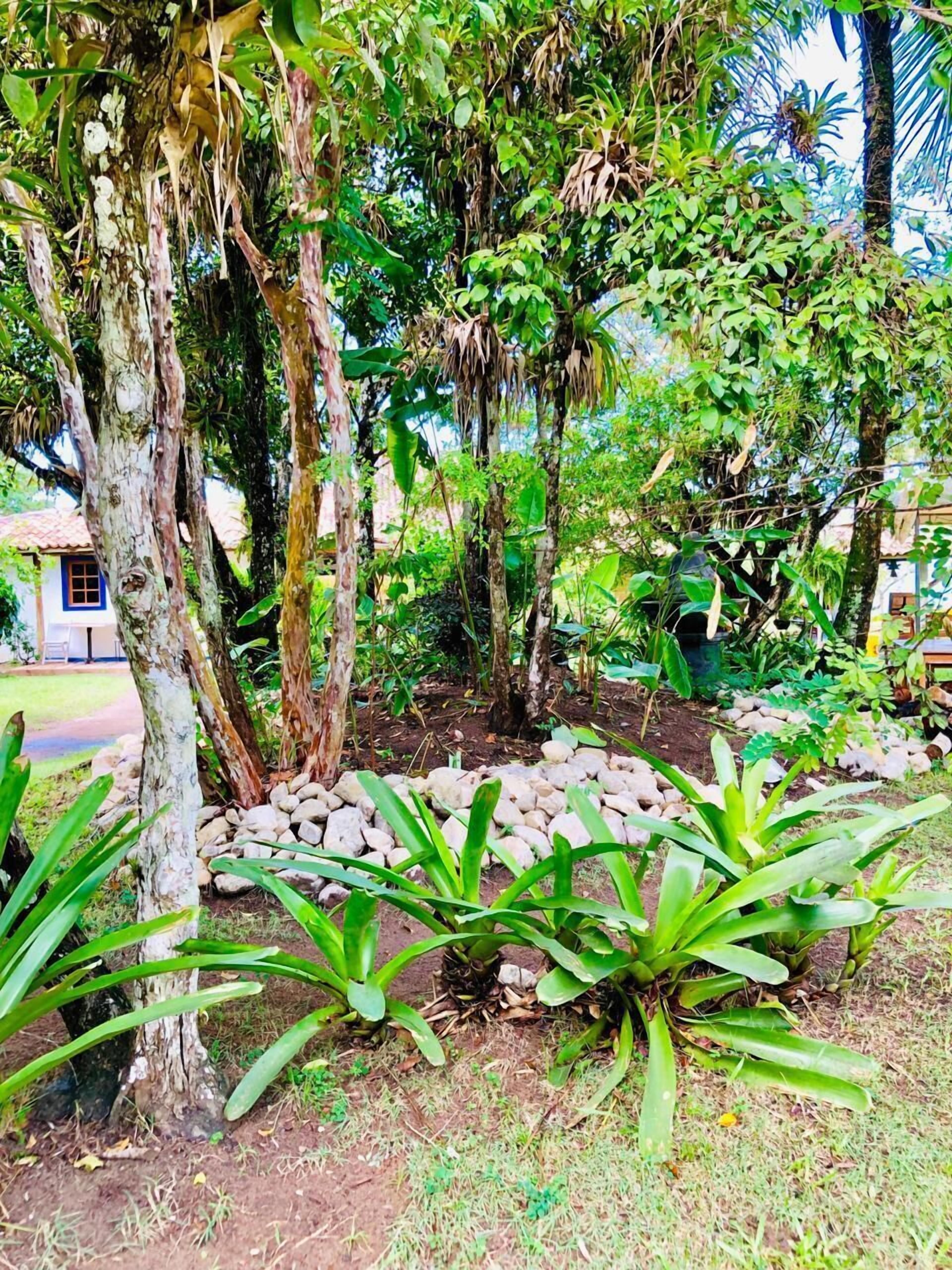 Photo - Casarão Alto Mucugê