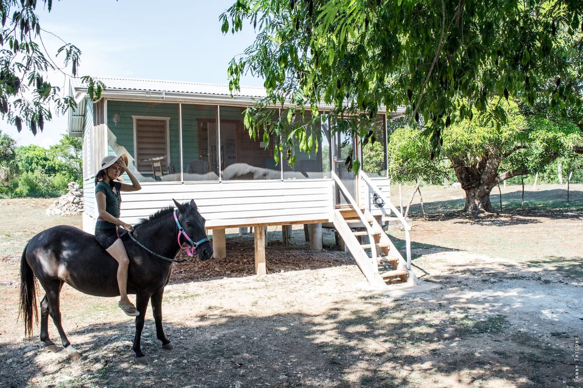 Una persona cavalca un cavallo di fronte a una casa con portico e una scalinata che conduce a un patio.