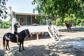 House, 2 Double Beds, Kitchenette