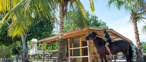 Cabaña, 1 cama matrimonial, baño privado | 1 habitación, caja de seguridad en la habitación y wifi gratis