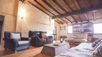 TV, fireplace, DVD player, books