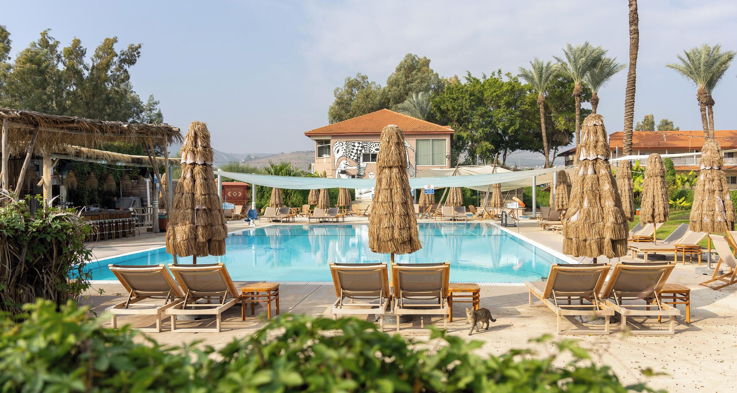 Piscine extérieure (ouverte en saison)