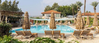 Solaya Kineret